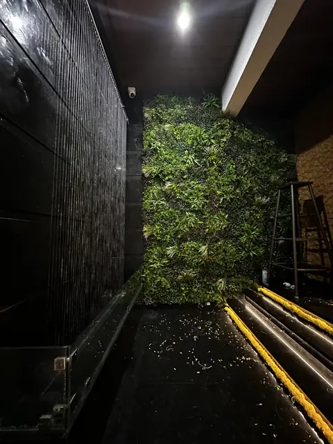 Green wall beside water feature at night - Mr. Siddanth project, Bangalore