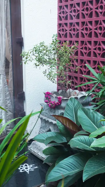 Courtyard planting beside perforated screen - Mr. Siddanth project, Bangalore